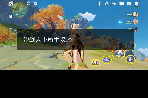 妙战天下新手攻略